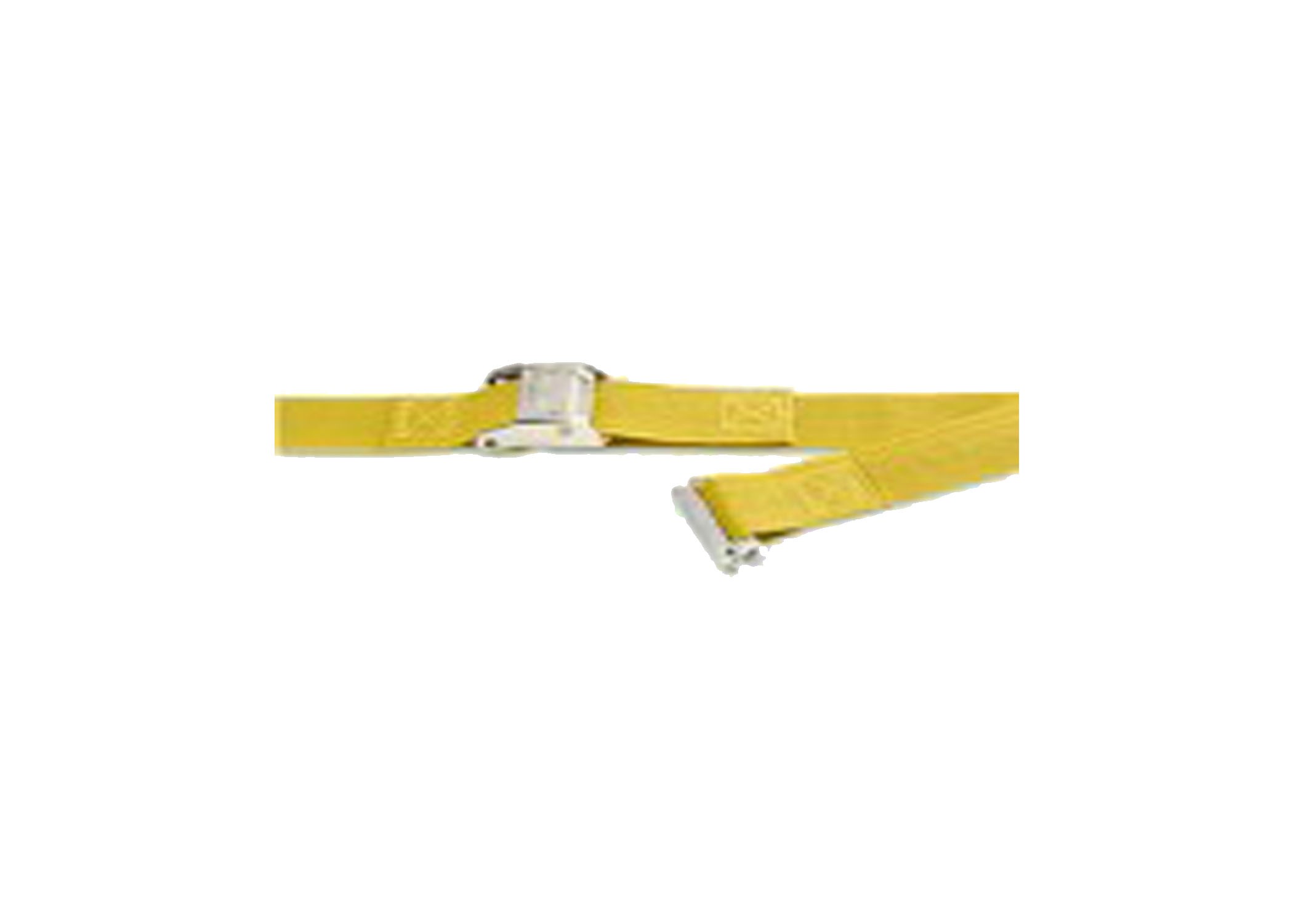 2in x 12' CAM BUCKLE E-TRACK STRAP