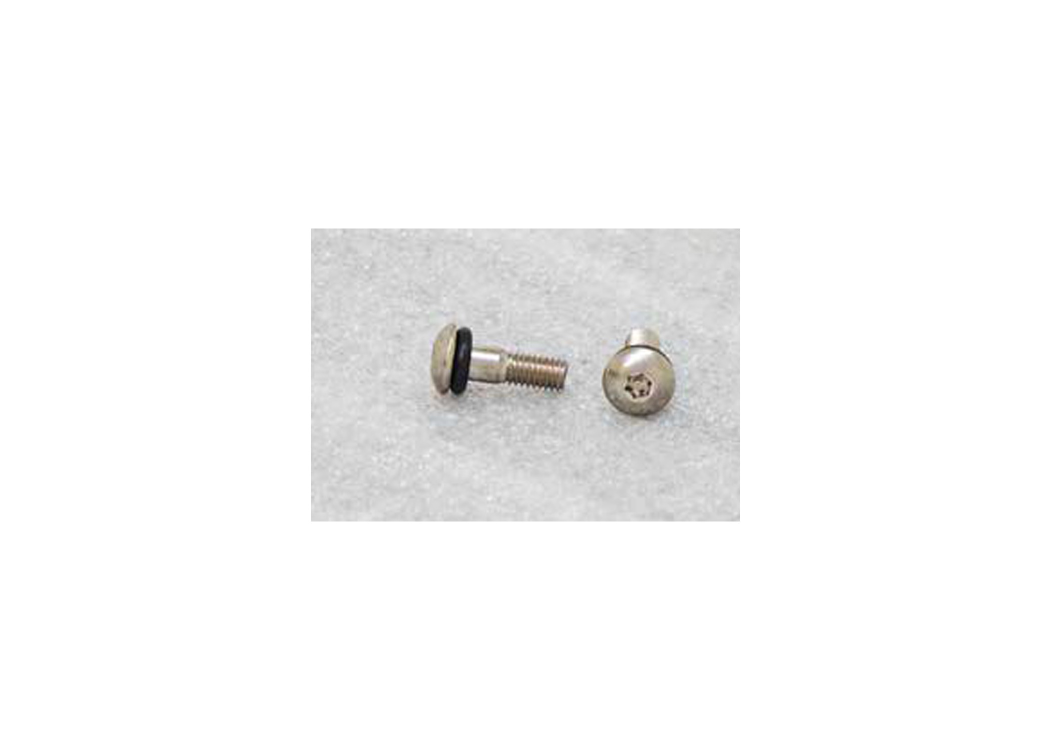 TORX HEAD STAINLESS STEEL SCREW