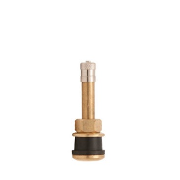 TUBELESS TRUCK VALVE STEM (2in LONG)