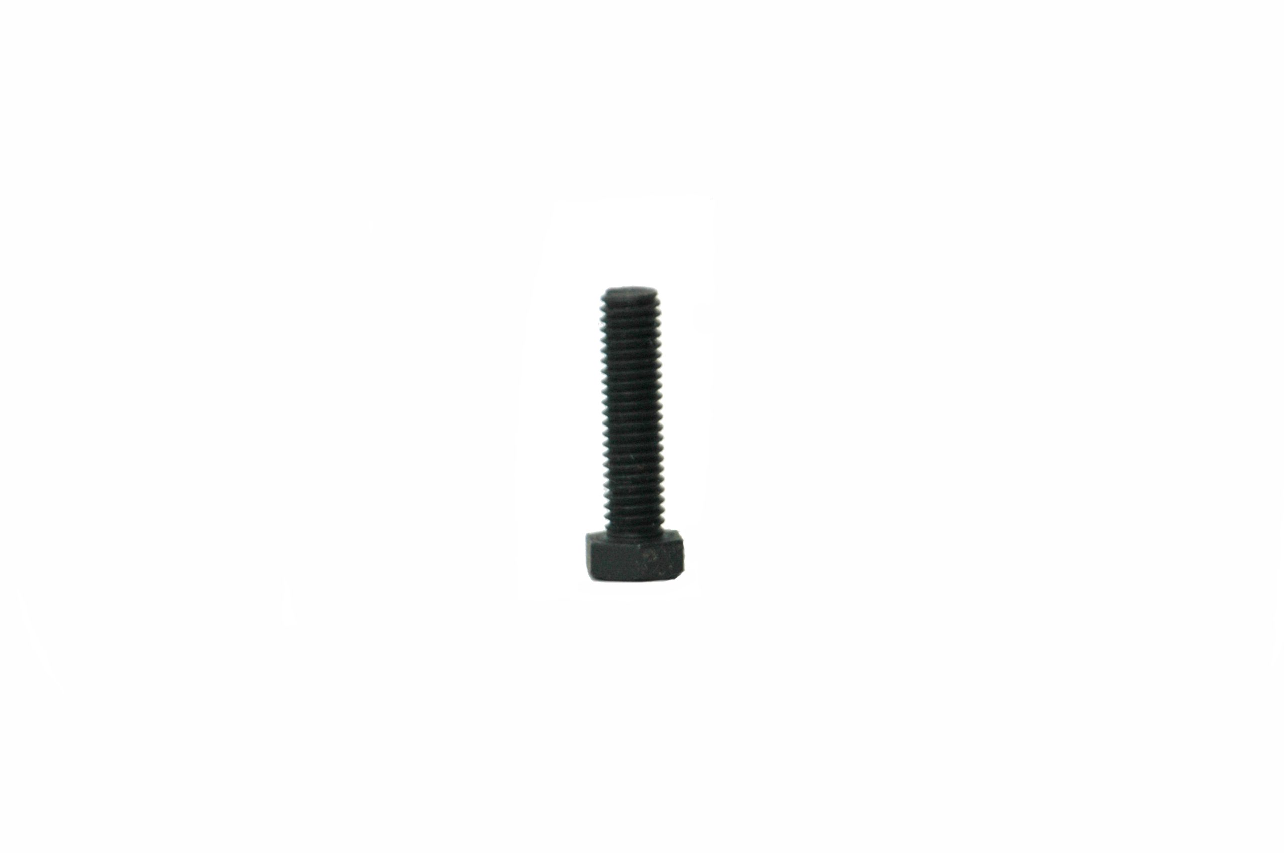 Product Image: HOLD DOWN SCREW